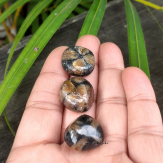Natural Chiastolite Tumbles - SokoSokoltd - Mauritius