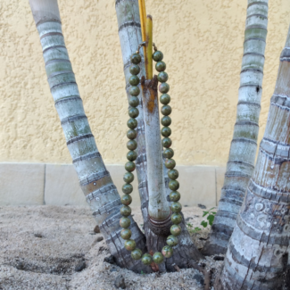 Unakite Beads Necklace - SokoSokoltd